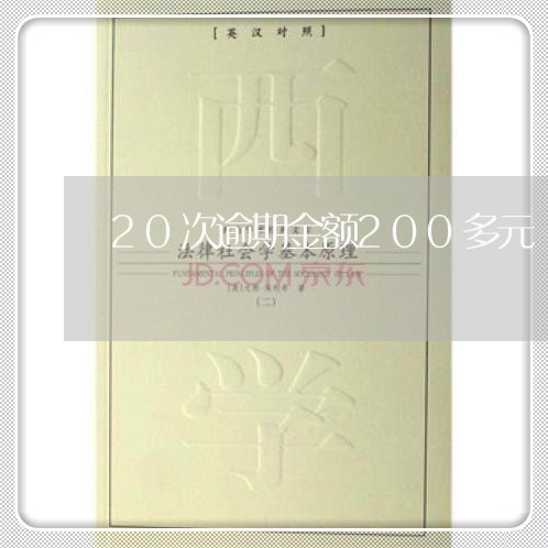 20次逾期金额200多元