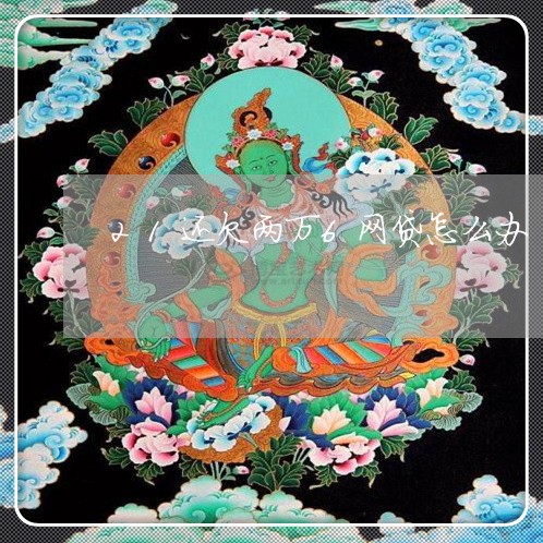 21还欠两万6网贷怎么办