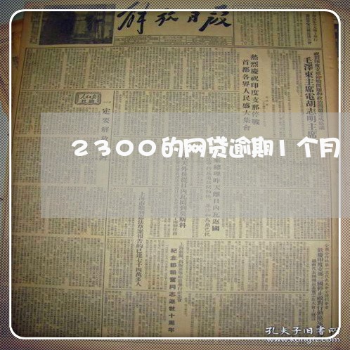 2300的网贷逾期1个月/2023120385827