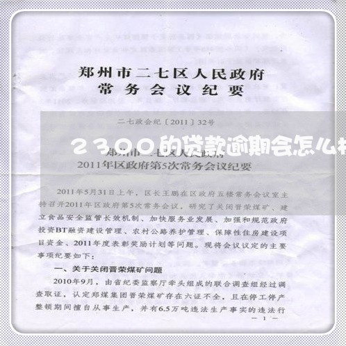 2300的贷款逾期会怎么样