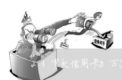 23岁欠信用卡8万怎么办