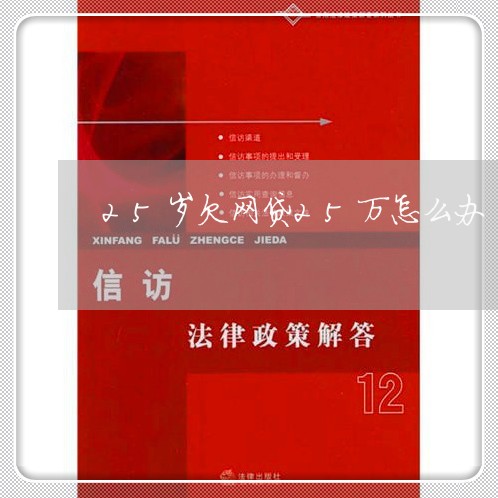 25岁欠网贷25万怎么办