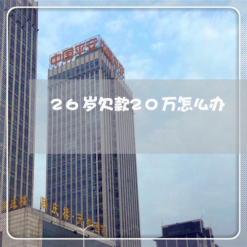 26岁欠款20万怎么办/2023011922936