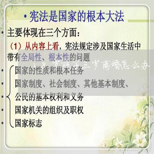 28岁孩子三岁离婚怎么办/2023060283627