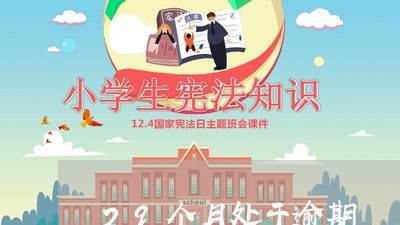 29个月处于逾期 29个月处于逾期