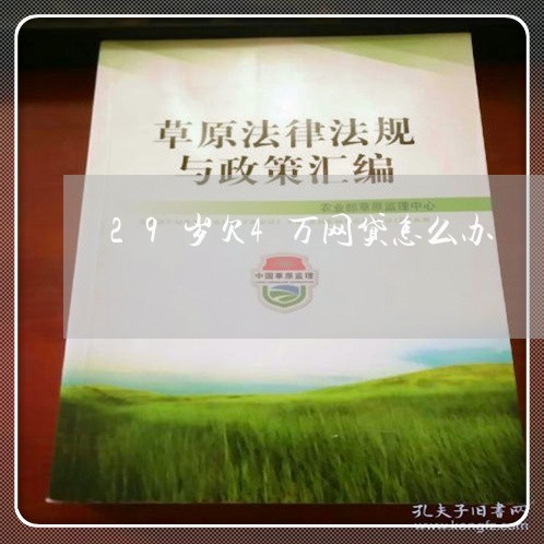 29岁欠4万网贷怎么办