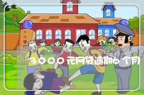 3000元网贷逾期6个月/2023120441572