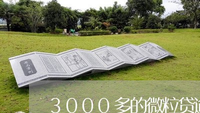 3000多的微粒贷逾期/2023022571835