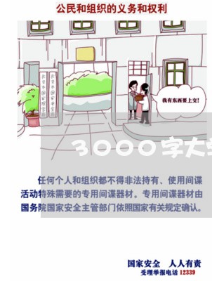 3000字大学生法院实习报告