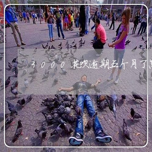 3000花呗逾期五个月了怎么办