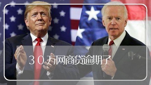 30万网商贷逾期了/2023012325028