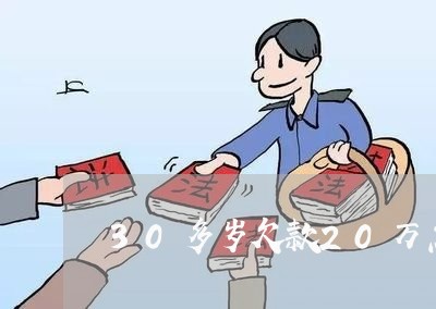 30多岁欠款20万怎么办/2023021675360