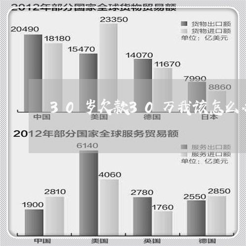 30岁欠款30万我该怎么办/2023100752726