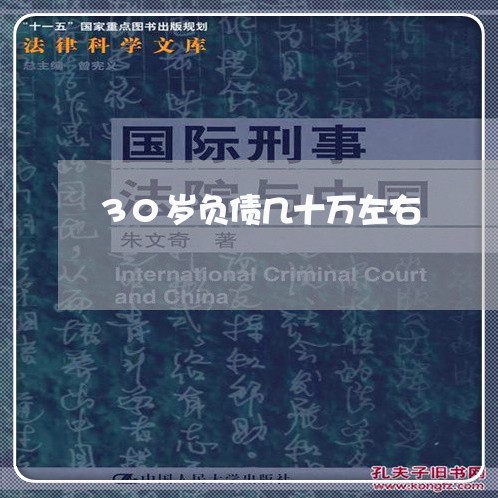 30岁负债几十万左右/2023061957472