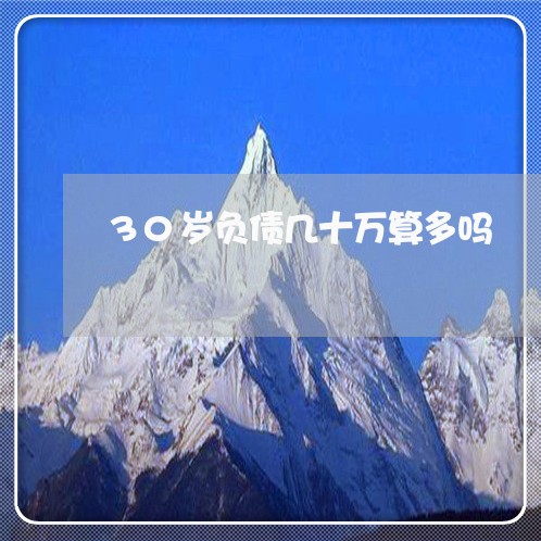 30岁负债几十万算多吗/2023093069482