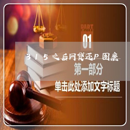 315之后网贷还P图麽/2023120760593