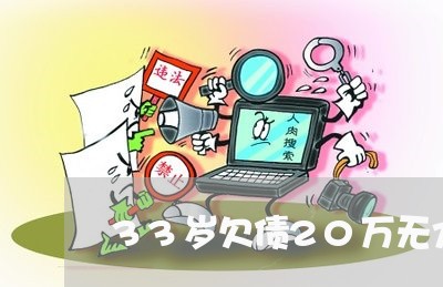 33岁欠债20万无力偿还怎办/2023011921606