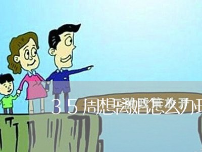 35周想离婚怎么办理/2023042306047