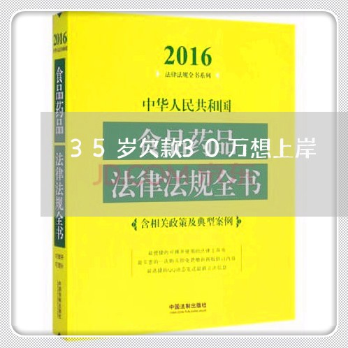 35岁欠款30万想上岸/2023100710259