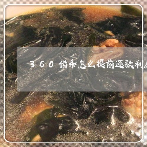 360借条怎么提前还款利息