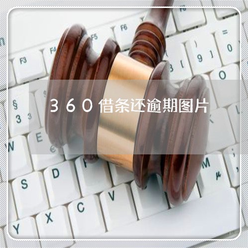 360借条还逾期图片/2023031793047