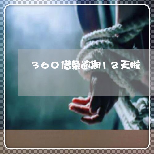 360借条逾期12天啦/2023061870694