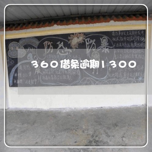 360借条逾期1300/2023022624838