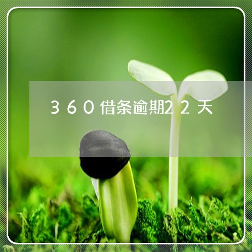 360借条逾期22天/2023031760736