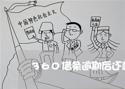 360借条逾期后还款不了