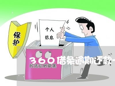 360借条逾期还款一天/2023061827048