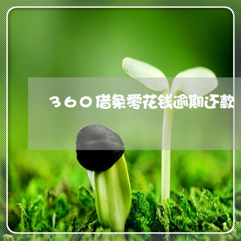 360借条零花钱逾期还款/2023042489602