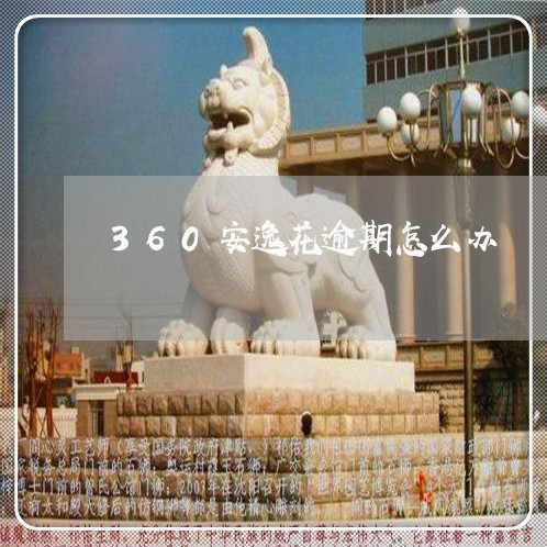 360安逸花逾期怎么办/2023061968362