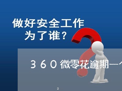 360微零花逾期一个月/2023120941373