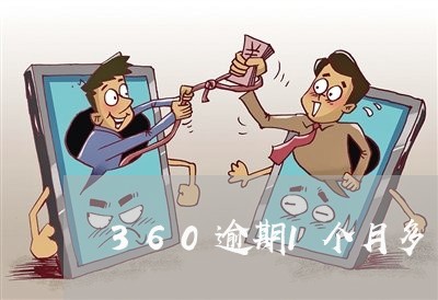 360逾期1个月多