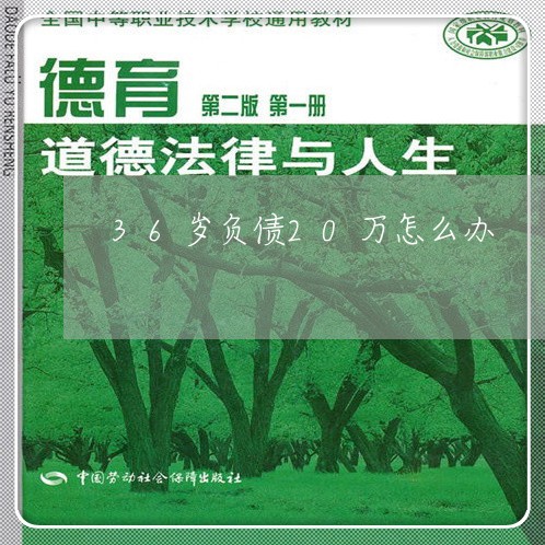 36岁负债20万怎么办/2023100783725