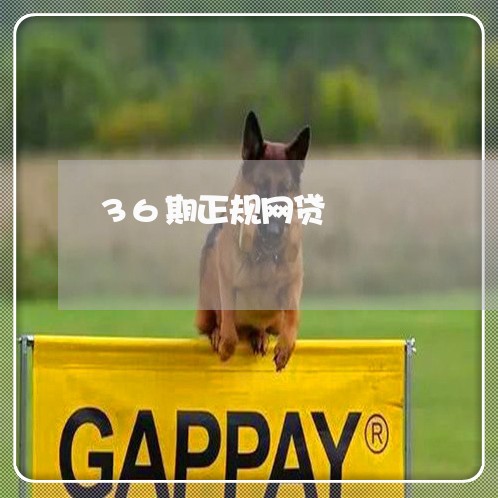 36期正规网贷 36期正规网贷