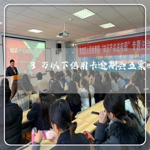3万以下信用卡逾期会立案吗/2023022713736 3万以下信用卡逾期会立案吗/2023022713736