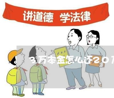 3万本金怎么还20万网贷/2023111823835