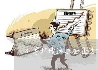 3家环境违法企业被重处