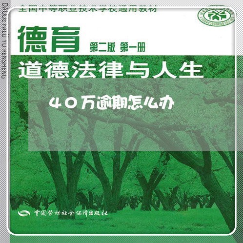 40万逾期怎么办 40万逾期怎么办
