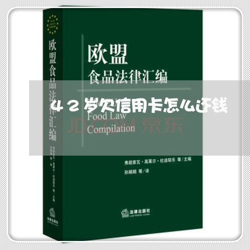 42岁欠信用卡怎么还钱 42岁欠信用卡怎么还钱