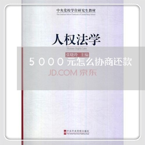 5000元怎么协商还款/2023110786054