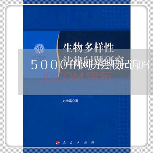 5000的网贷会被起诉吗/2023112540381