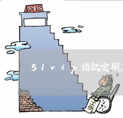 51vip借款逾期怎么处理