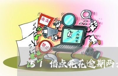 51借点花花逾期两天了