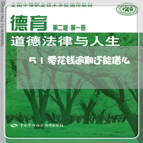 51零花钱逾期还能借么