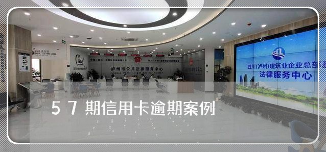57期信用卡逾期案例 57期信用卡逾期案例