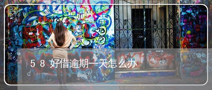 58好借逾期一天怎么办 58好借逾期一天怎么办