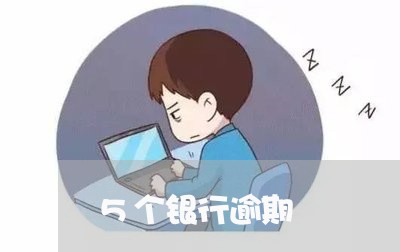 5个银行逾期