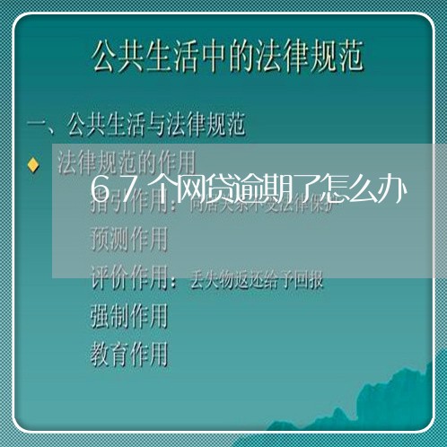 67个网贷逾期了怎么办/2023021603615